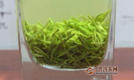 喝毛尖的好处,提神养生，健康生活必备良品