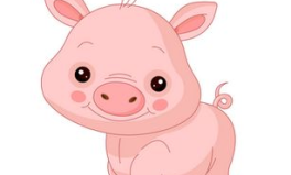 属猪的2020年运势怎么样,事业、财运、感情与健康全面分析