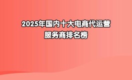 2025年国内十大电商代运营服务商排名榜-搜国内电商排行榜