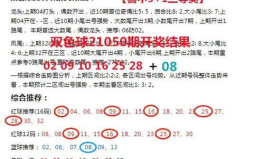 双色球预测专家,揭秘中奖秘诀与热门策略
